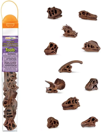 Safari Ltd. TOOBS tube – crânes de dinosaures