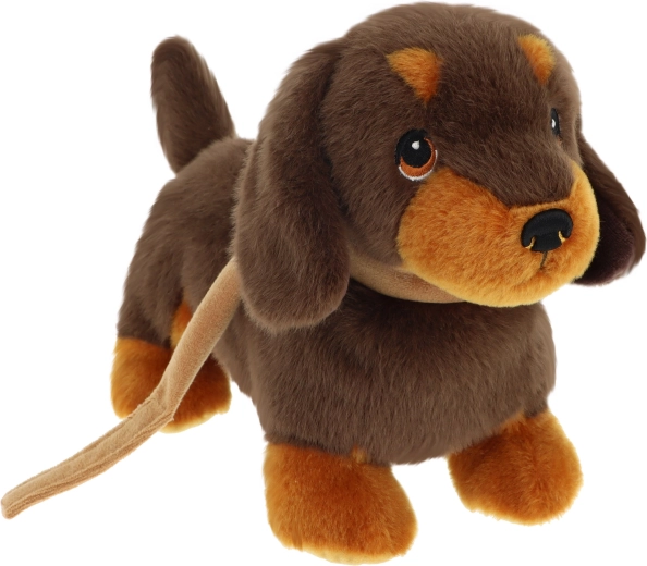 Keeleco chiot teckel en laisse 23 cm