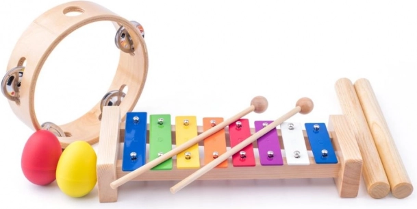 Instruments de musique pour enfants 3+