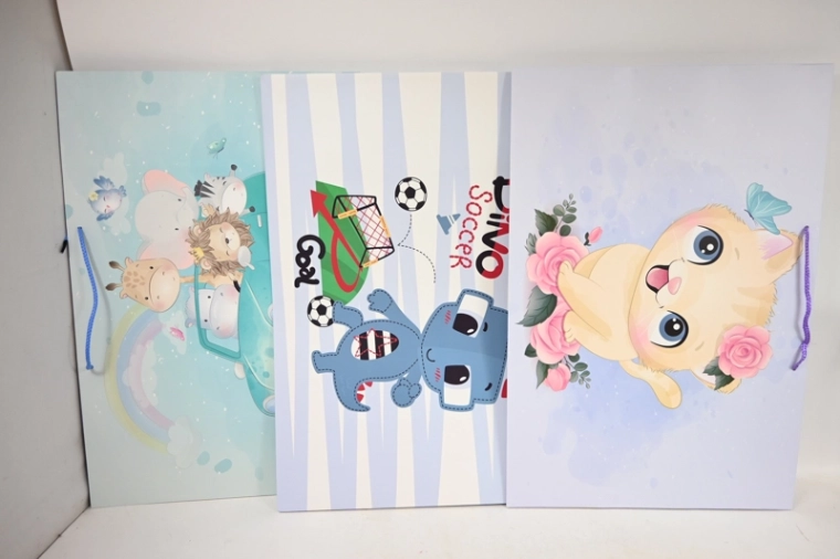 Sac cadeau de présentation 60 × 40 × 25 cm