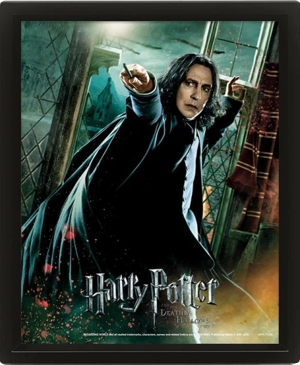 Tableau 3D HARRY POTTER – Severus Rogue