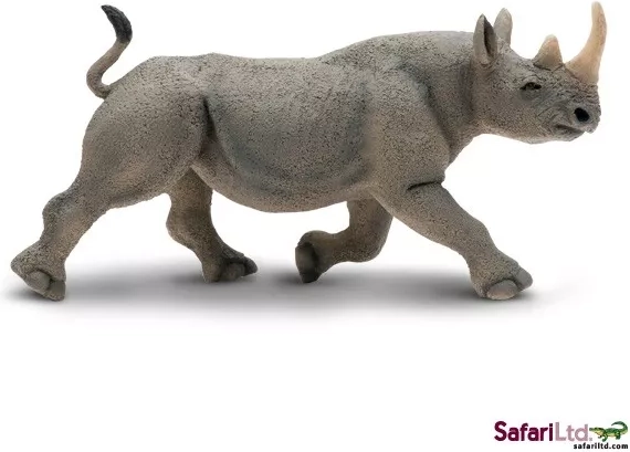Rhinocéros à deux cornes