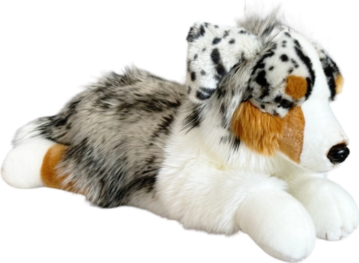 Peluche chien australien couché DUBI 61 cm