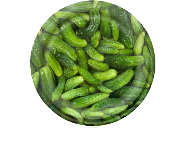 Lot de couvercles de stérilisation 82 mm motif cornichons, 6 encoches, 10 pcs