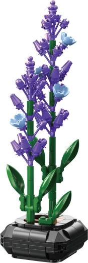 Fleur de lavande CaDA en pot à l’échelle 1:1