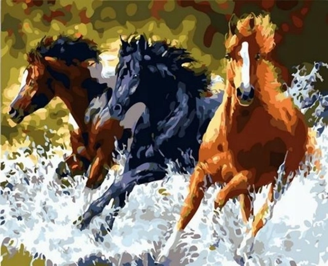 Norimpex peinture par numéros Trois chevaux au galop 40 × 50 cm