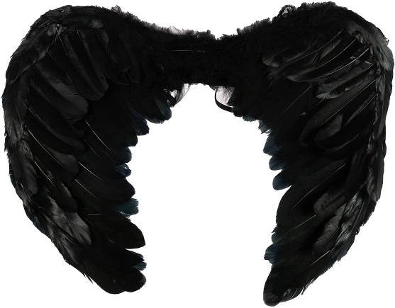 Ailes noires pour Halloween