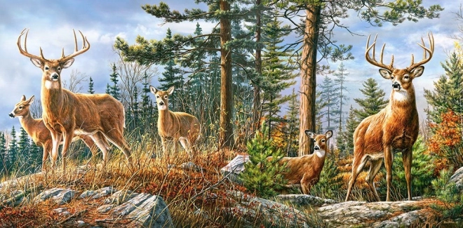 Puzzle 4000 pièces – Famille royale de cerfs