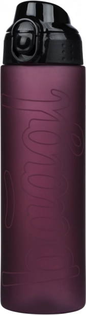 Bouteille Baagl en tritan Ruby 700 ml