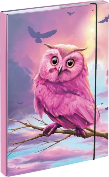 Chemises pour cahiers scolaires A4 avec motif chouette BAAGL