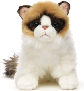 Chat Ragdoll en peluche 23 cm
