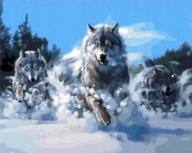Peinture diamant Meute de loups dans la neige 30 × 40 cm