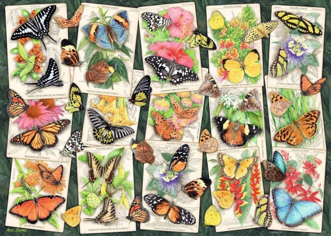 Puzzle RAVENSBURGER Papillons tropicaux 1000 pièces