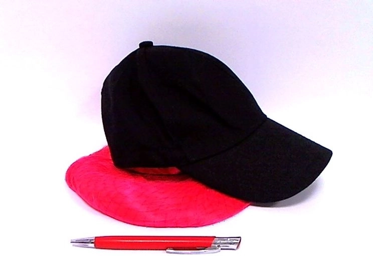 Perruque avec bonnet intégré