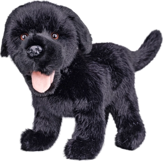 Labrador en peluche noir 23 cm - 1 pièce