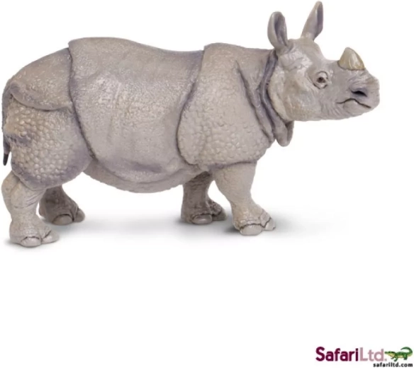 Rhinocéros indien