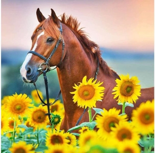 Broderie diamant (diamond painting) cheval dans les tournesols 30 × 30 cm