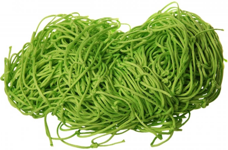 Filet décoratif NOE vert clair 5 × 1 m