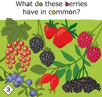 Yummy ! jeu éducatif sur l’alimentation saine pour les enfants dès 3 ans