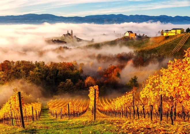 Enjoy puzzle Dans le vignoble 1000 pièces