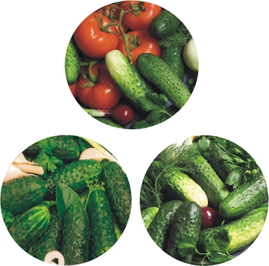 Lot de couvercles métalliques pour bocaux de conservation Ø 82 – 6 ergots, motif cornichons (10 pcs)
