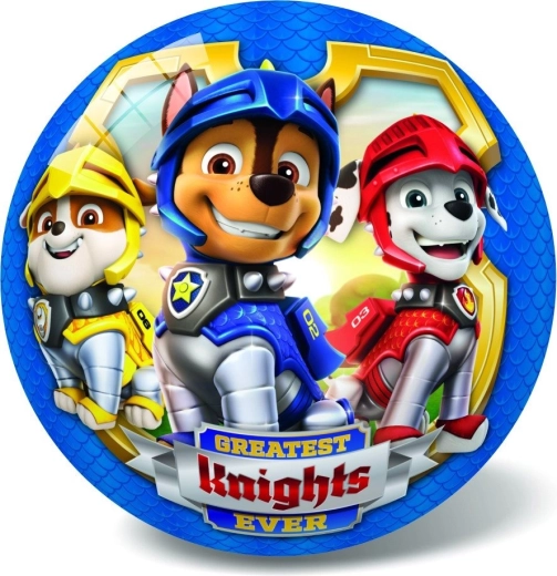 Ballon Paw Patrol 23 cm bleu en filet