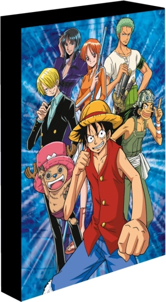 Tableau LED lumineux 30x40 cm One Piece