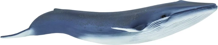 Safari Ltd. figurine de baleine bleue