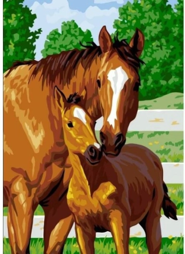 Mosaïque diamant (diamond painting) poulain mignon 30 × 40 cm