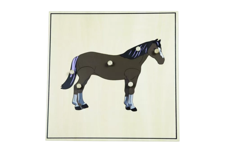 Puzzle avec un squelette – cheval