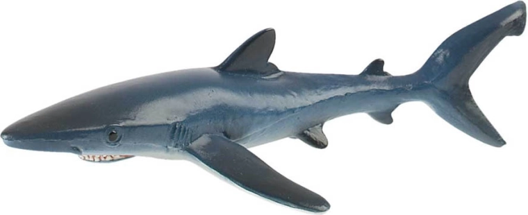 Requin bleu