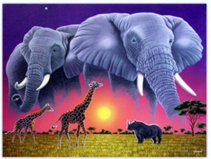 Norimpex peinture par numéros Éléphants 40 × 50 cm