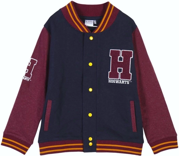 Sweat-shirt Harry Potter