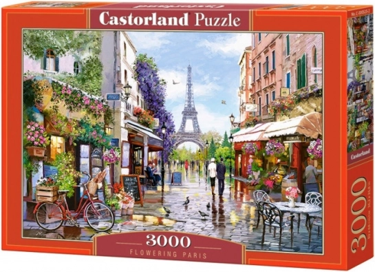 Puzzle 3000 pièces - Paris en fleurs