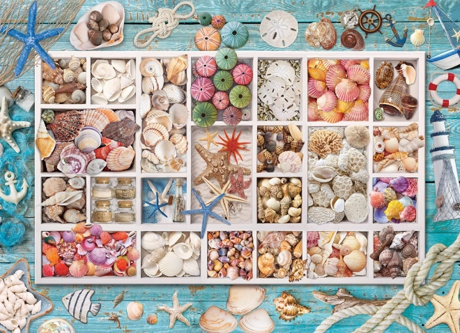 Puzzle EUROGRAPHICS La collection de coquillages de Laura – 1000 pièces