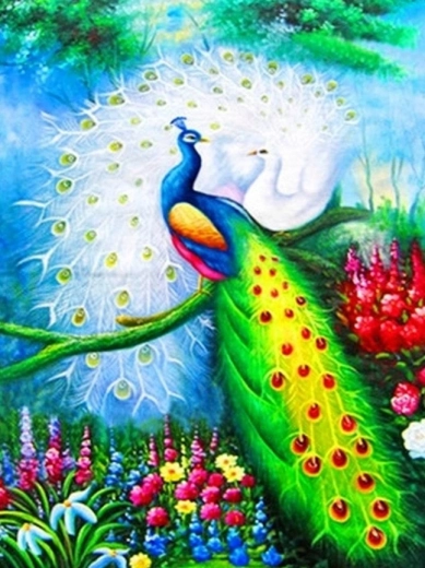 Peinture diamant – paons 30 × 40 cm