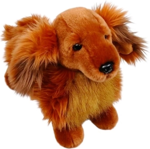 Teckel en peluche marron 30 cm
