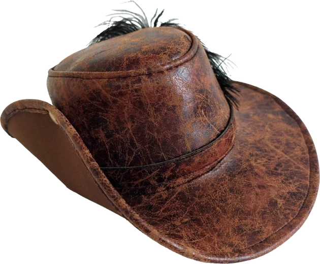 Chapeau western