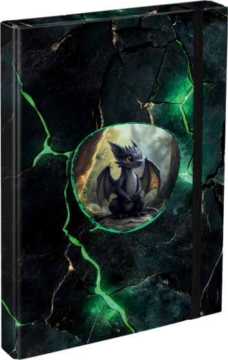Chemises pour cahiers scolaires A4 avec motif de dragons BAAGL