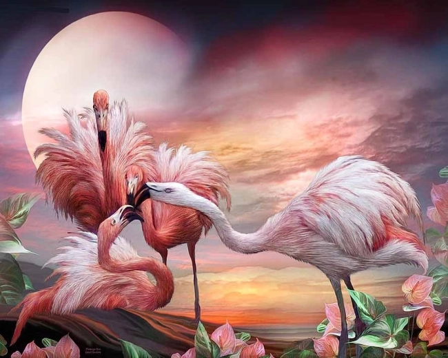 Norimpex Peinture par numéros Flamants roses 40 × 50 cm