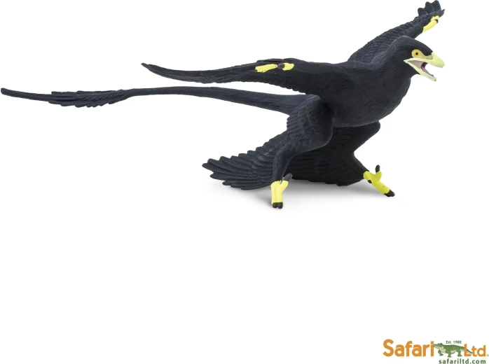 Microraptor Safari Ltd. - 1 pièce