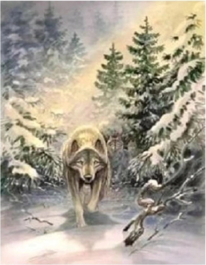 Norimpex Peinture par numéros Loup dans la forêt 40 × 50 cm