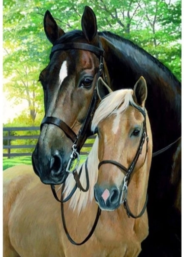 Tableau à peindre par numéros sur châssis 40 × 50 cm – chevaux