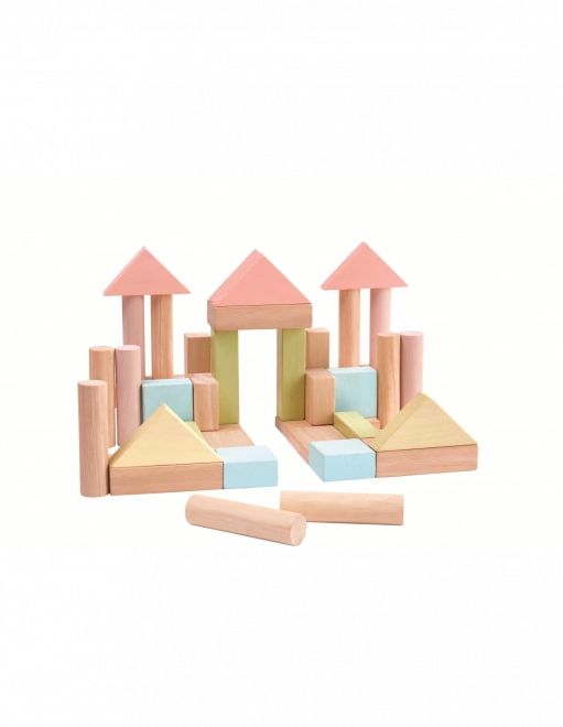 Blocs de construction PlanToys 40 pcs