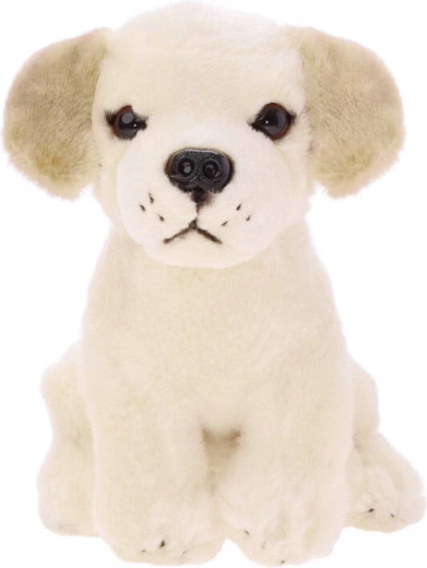 Labrador en peluche assis