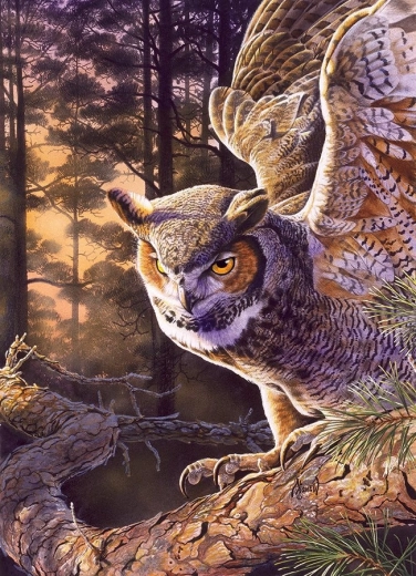 Puzzle Chasseur du Soir 1000 pièces