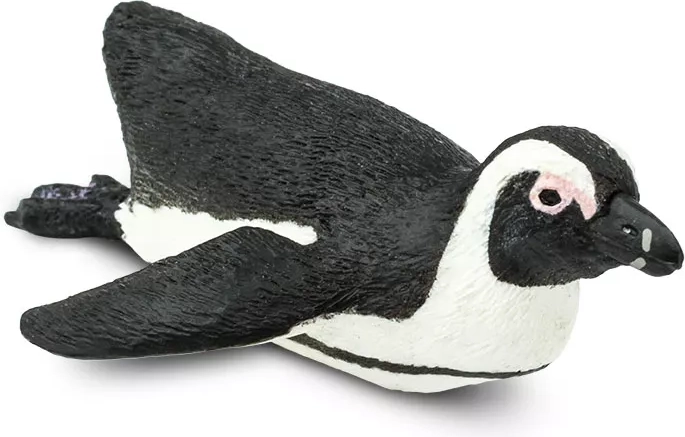 Manchot à lunettes Safari Ltd. - 1 pièce