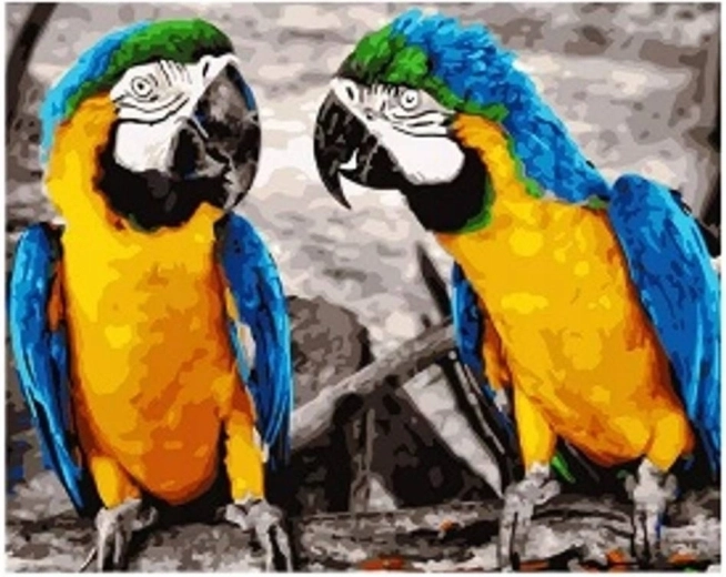 Peinture diamant Perroquets 30 × 40 cm