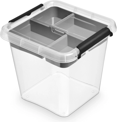 Boîte de rangement avec couvercle Simplestore insert 4 l (20 × 20 × 18 cm)