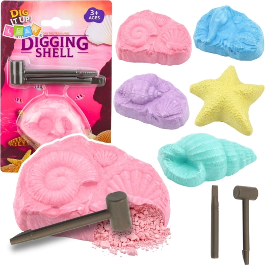 Kit archéologique fossiles marins – coffret de fouille avec coquillages et outils